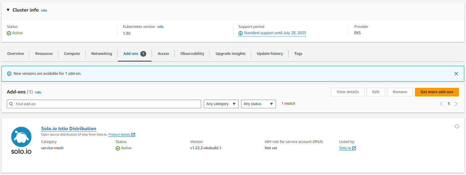 Figure: Active status for Solo add-on for EKS