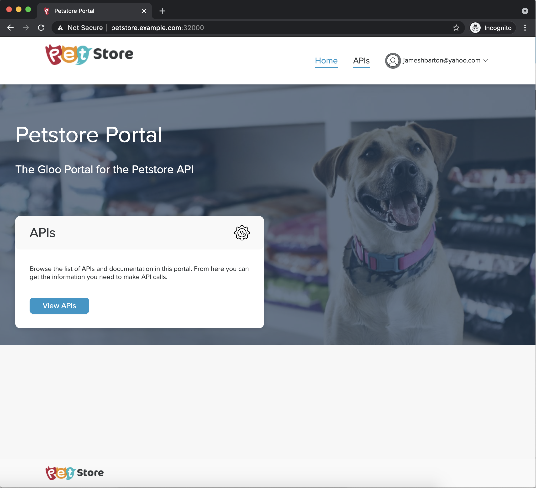 Portal UI